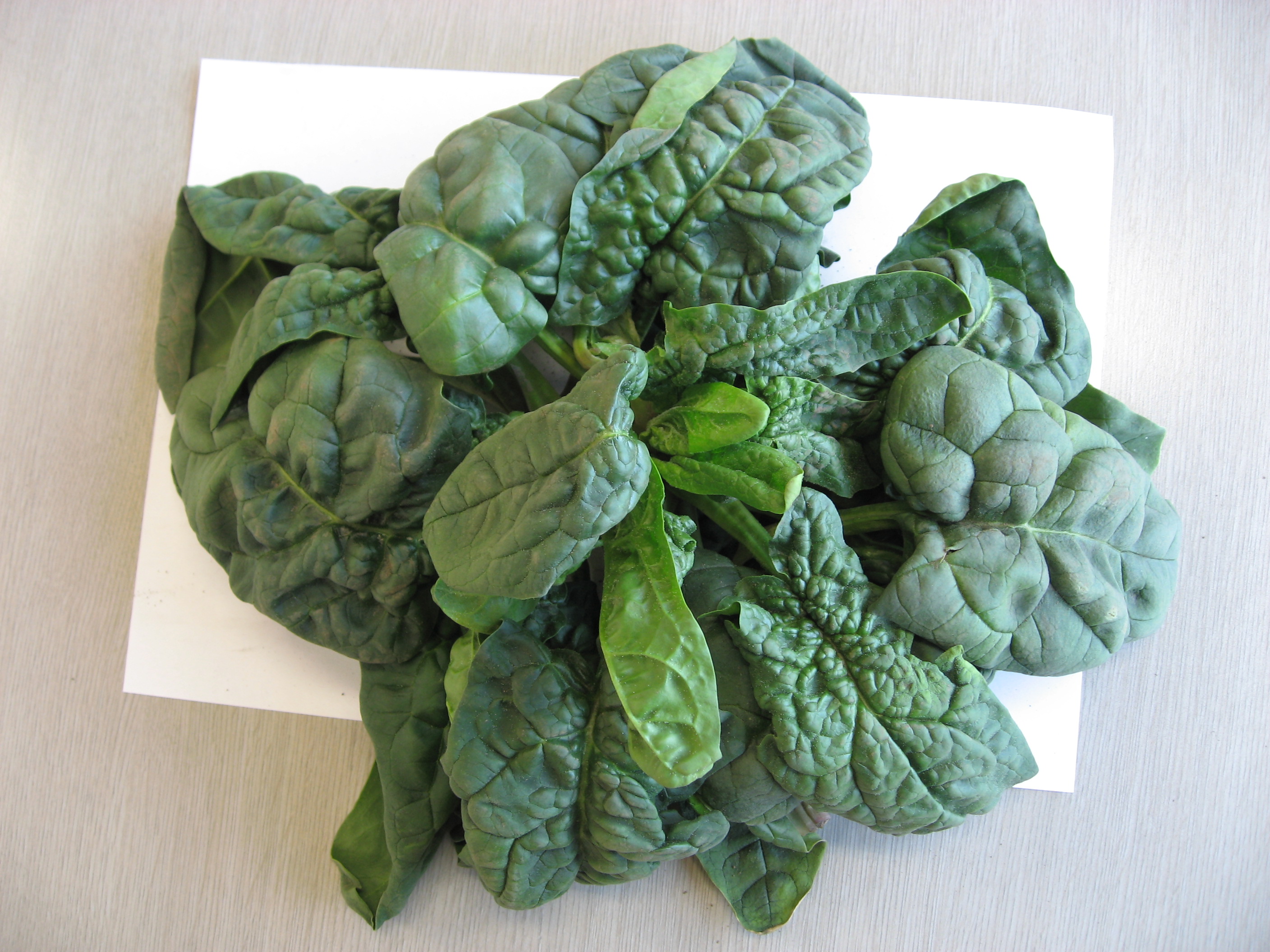 ちぢみほうれん草 高崎市場 第2 第4土曜日はニコニコ感謝デー ちぢみほうれん草 高崎市場 第2 第4土曜日はニコニコ感謝デー