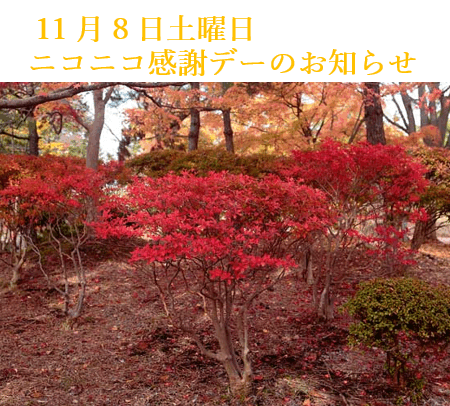 11月8日土曜日 ニコニコ感謝デーのお知らせ